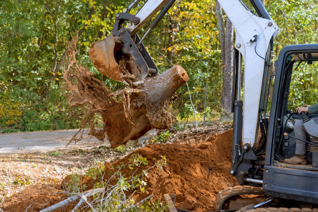 Land clearing in Glendale, CA