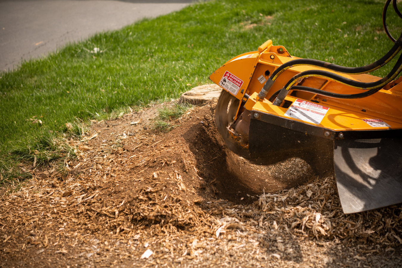 Stump grinding in Glendale, CA